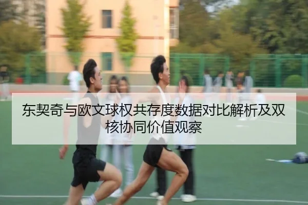 东契奇与欧文球权共存度数据对比解析及双核协同价值观察