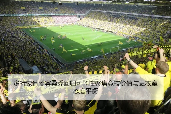 多特蒙德考察桑乔回归可能性聚焦竞技价值与更衣室态度平衡